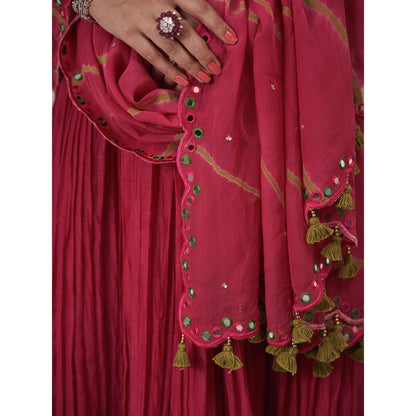 Hirika & Dhruti Pink Mirror Keri Pleated Anarkali with Dupatta (Set of 2)