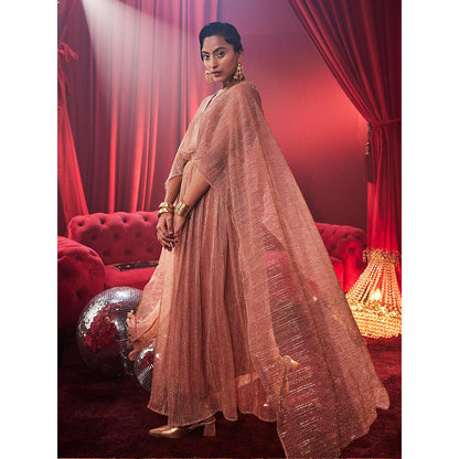 House of Fett Tiara Metallic Party Gown - Pink