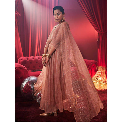 House of Fett Tiara Metallic Party Gown