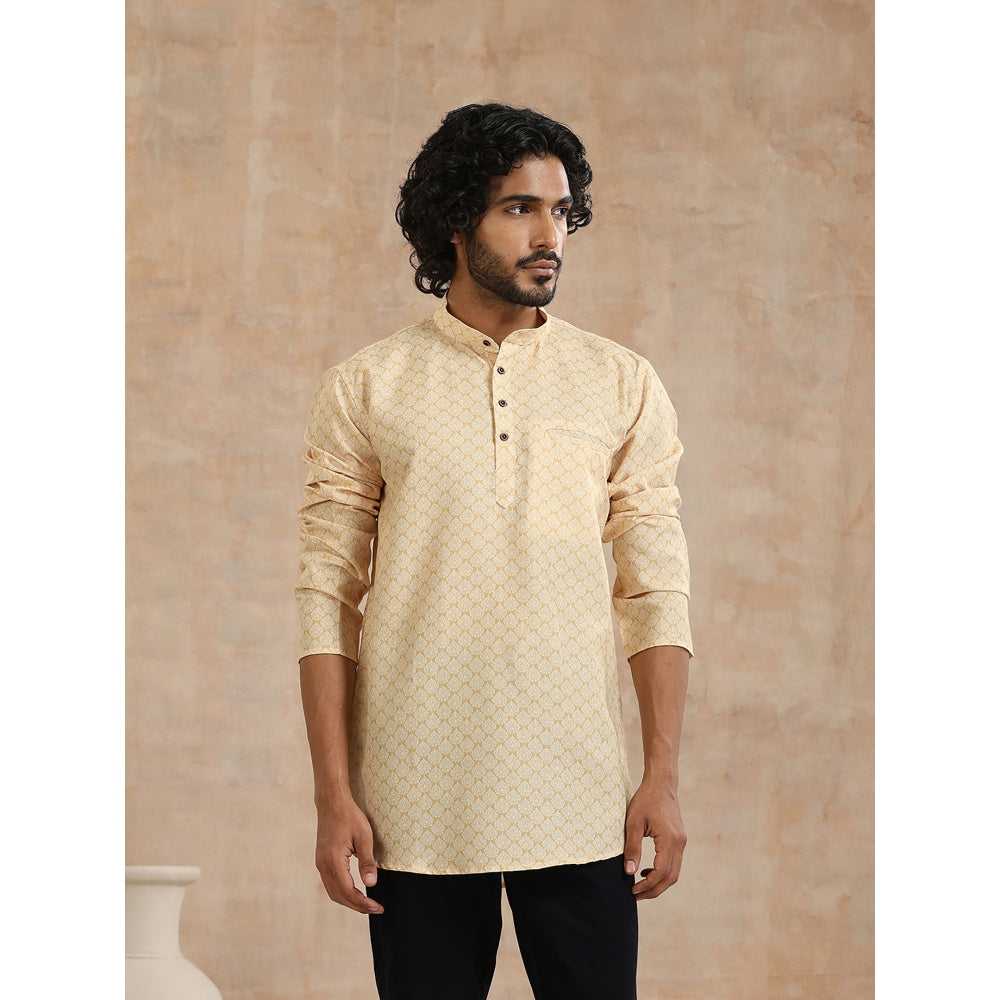 Printed Woven Short Kurta