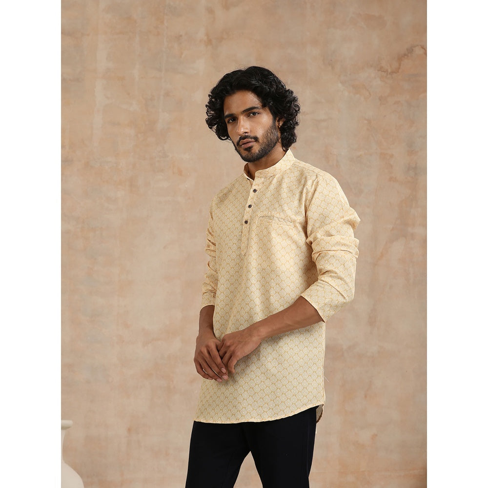 Printed Woven Short Kurta