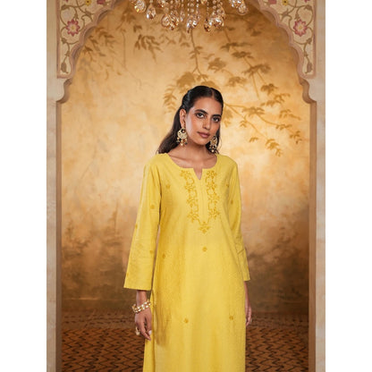 Chikankari Printed Long Kurta