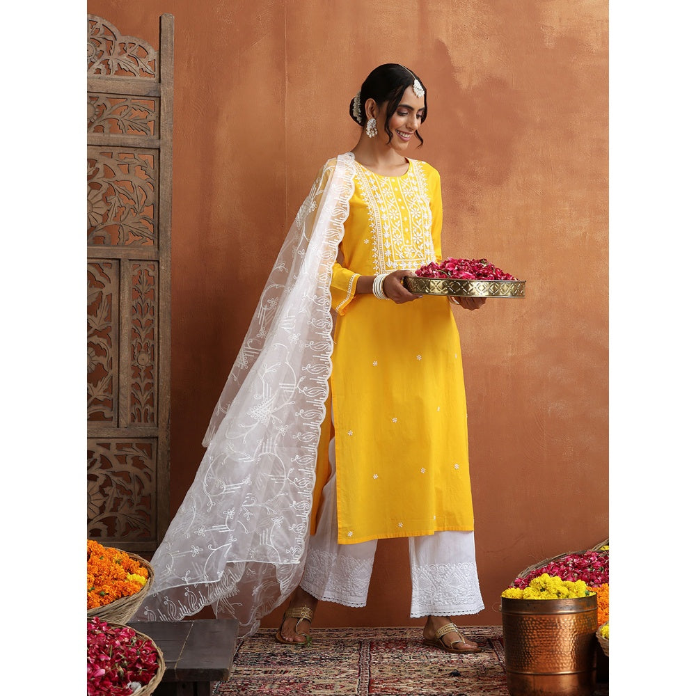 Chikankari Woven Long Kurta