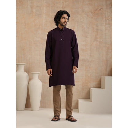 House of Chikankari Dobby Textured Mens Long Kurta - Dark Purple