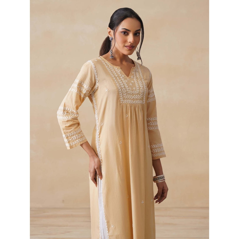 House of Chikankari Womens Woven Pure Cotton Chikankari Kurta-Beige