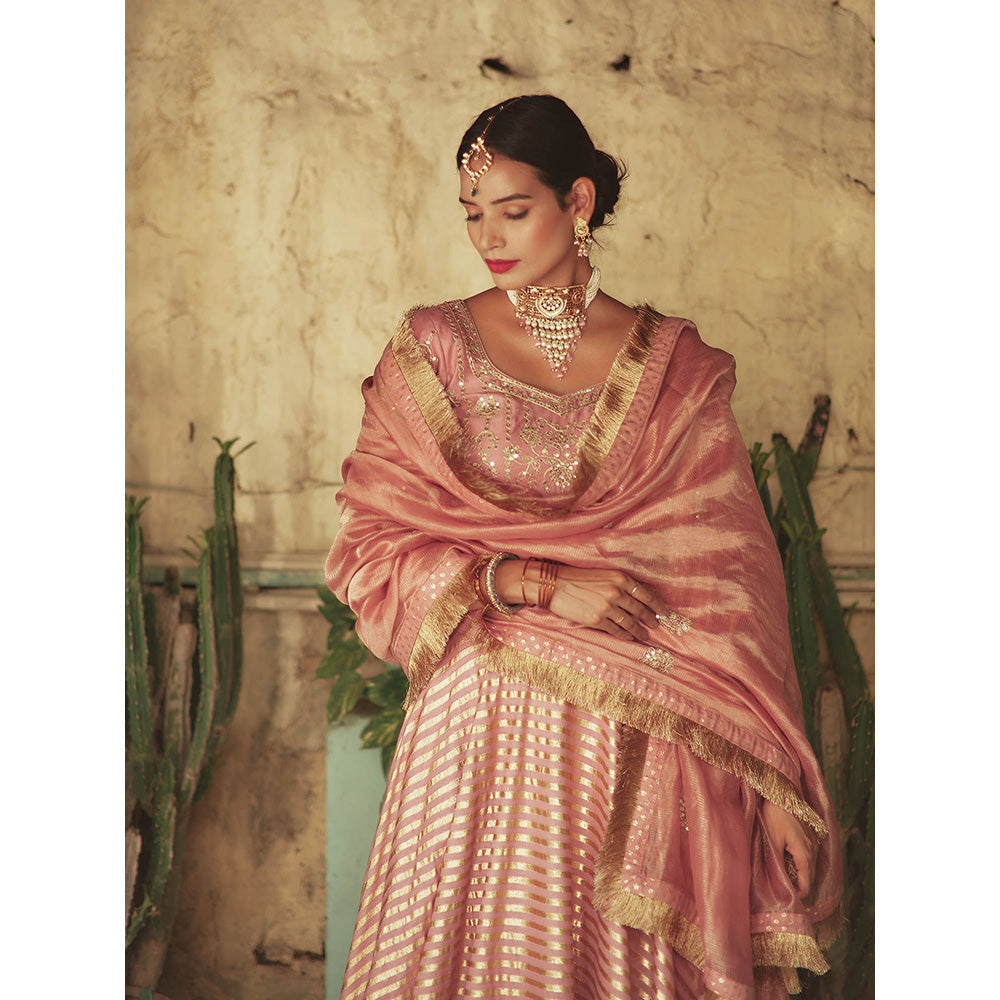 House of Pink Chanderi Stripes & Embroidered Lehenga Choli & Dupatta (Set of 3)