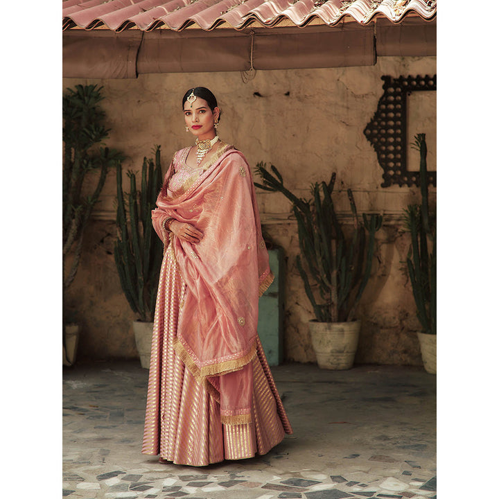 House of Pink Chanderi Stripes & Embroidered Lehenga Choli & Dupatta (Set of 3)