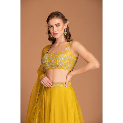 House of Tushaom Yellow Lehenga with Blouse and Dupatta (Set of 3)