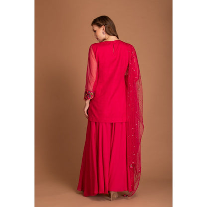 House of Tushaom Pink Embroidery Kurta with Sharara and Mukaish Work On Dupatta (Set of 3)