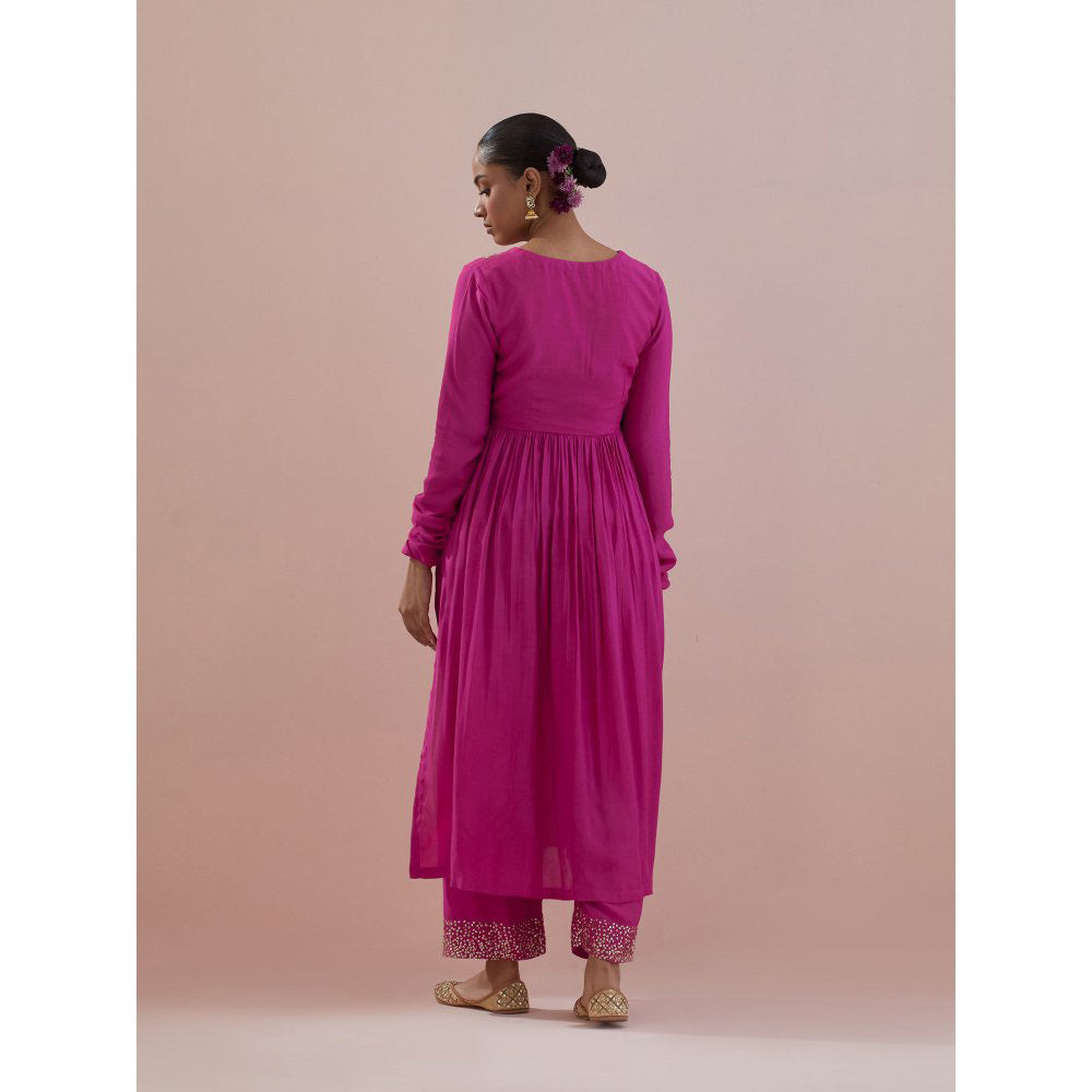 Ikshita Choudhary Pink Embellished Anarkali Kurta
