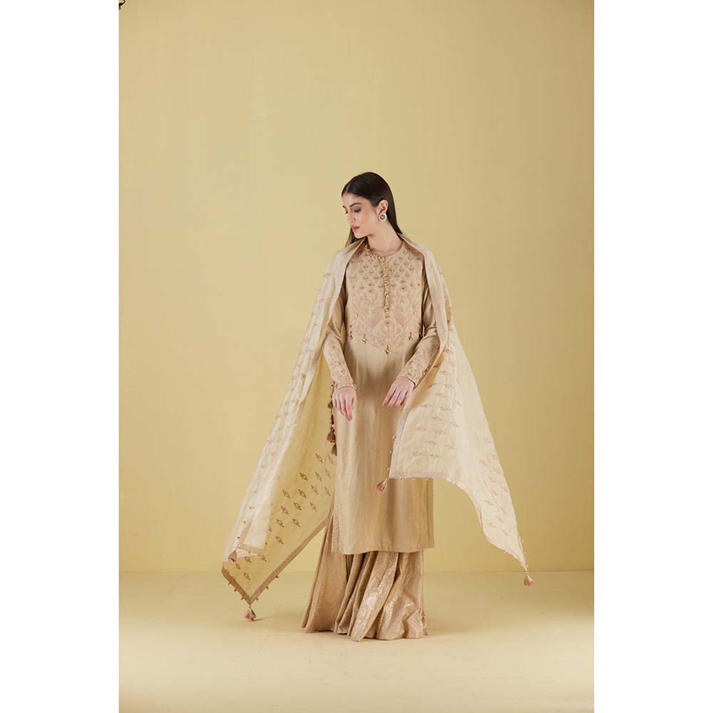 Inej Kurta Straight Beige with Pant (Set of 2)