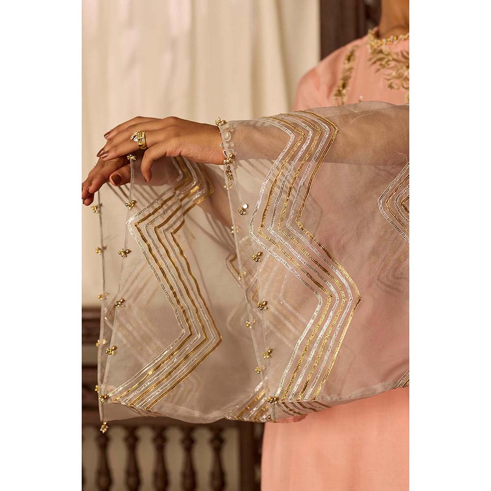 Inej Leher Peach Drape Skirt with Kurti (Set of 2)