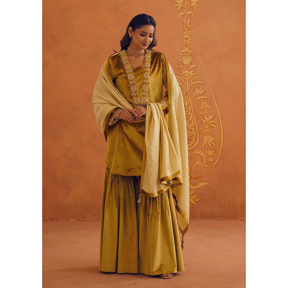 Inej Zeba Mustard Kali Kurta with Sharara and Dupatta (Set of 3)