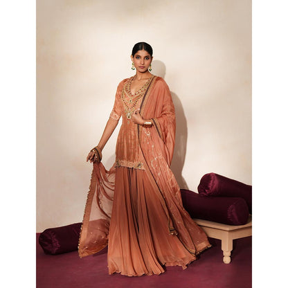 ISHA GUPTA TAYAL Brown Mrinalika Kurta and Sharara Set with Dupatta