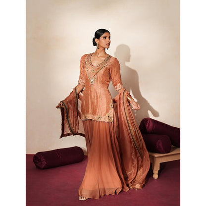 ISHA GUPTA TAYAL Brown Mrinalika Kurta and Sharara Set with Dupatta
