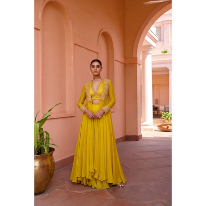 ISHA GUPTA TAYAL Yellow Amruta Khanvilkar In Mastani Top and Sharara and Jacket Set