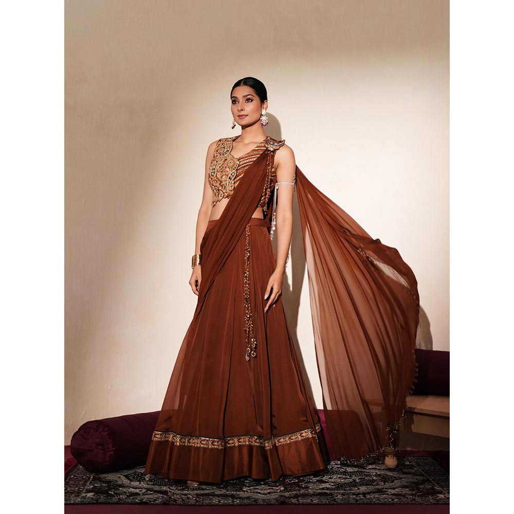 ISHA GUPTA TAYAL Brown Taarika Lehenga and Blouse with Dupatta