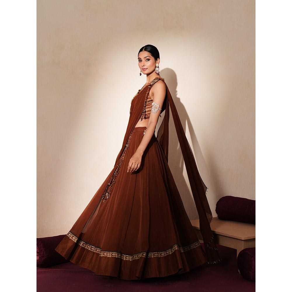 ISHA GUPTA TAYAL Brown Taarika Lehenga and Blouse with Dupatta