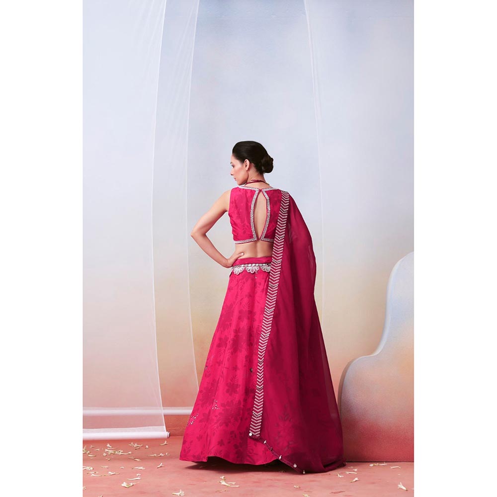 ISHA GUPTA TAYAL Pink printed and embroidered Lehenga and Blouse with Dupatta