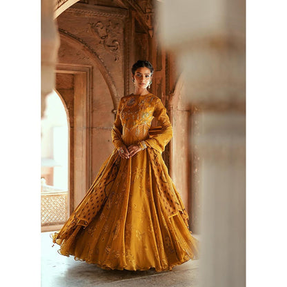 ISHA GUPTA TAYAL Gold Sitara Anarkali Gown and Dupatta