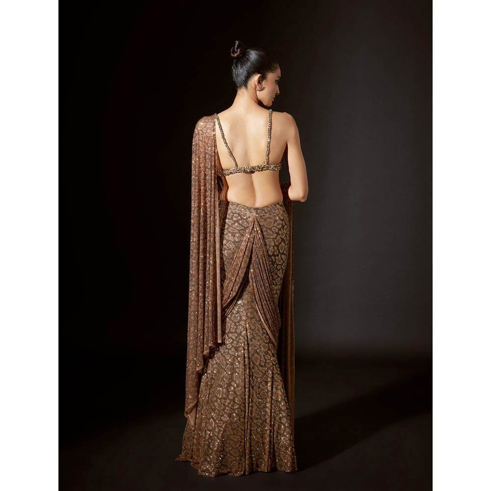 ITRH Ancient Glyphs Saree with Stitched Blouse