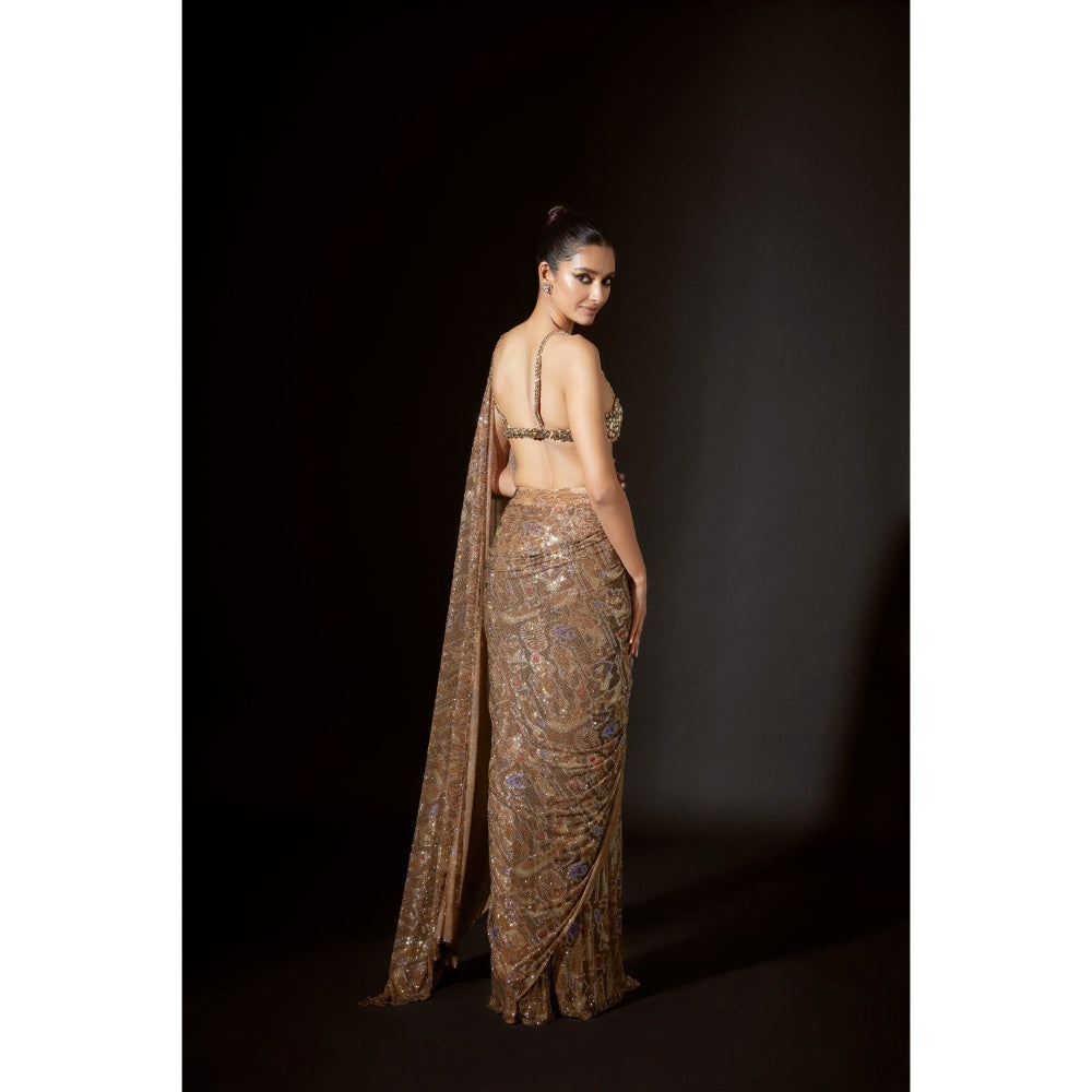 ITRH Ancient Glyphs Saree with Stitched Blouse