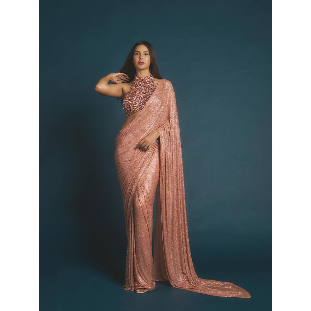 ITRH Scarab Serenity Saree with Stitched Blouse