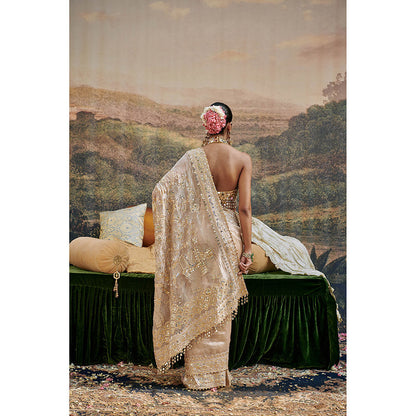 ITRH Beige Gaja Kavya Saree with Stitched Blouse