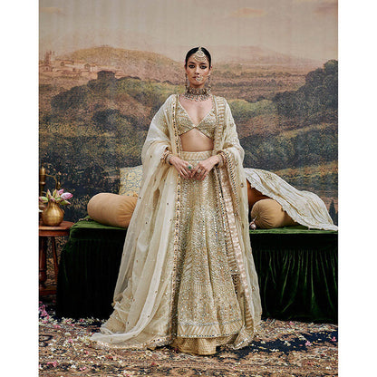 ITRH Shvet Afsana Lehenga Blouse with Single Dupatta (Set of 3)