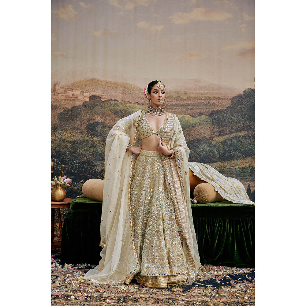 ITRH Shvet Afsana Lehenga Blouse with Single Dupatta (Set of 3)