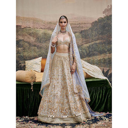 ITRH Khwab Sitara Lehenga and Veil (Set of 4)