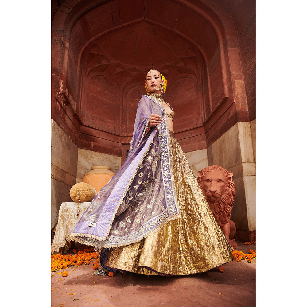 ITRH Gold Krishna Kumud Lampi Lehenga Blouse and Dupatta (Set of 3)