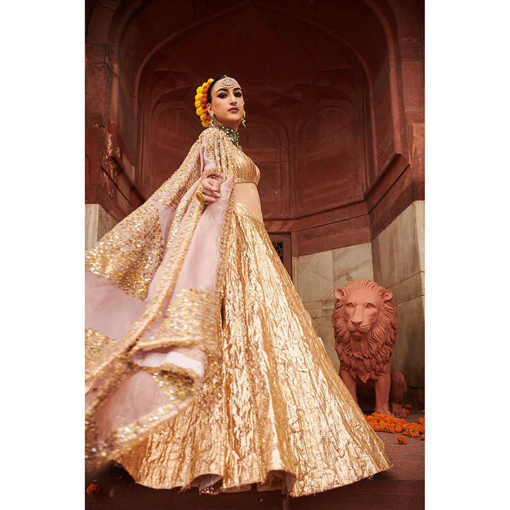 ITRH Padmasvara Lampi Lehenga with Blouse and Dupatta (Set of 3)