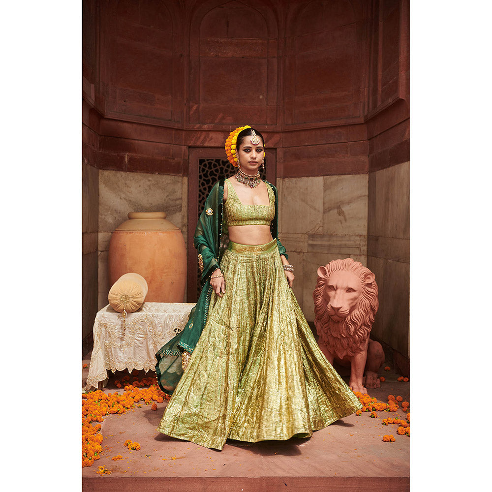 ITRH Green Pushp Lampi Lehenga with Blouse and Dupatta (Set of 3)
