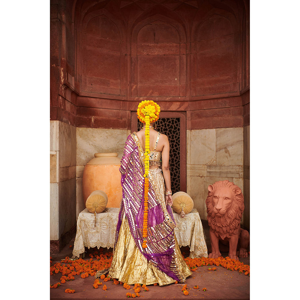 ITRH Chandi Sona Halftone Lehenga with Blouse and Dupatta (Set of 3)