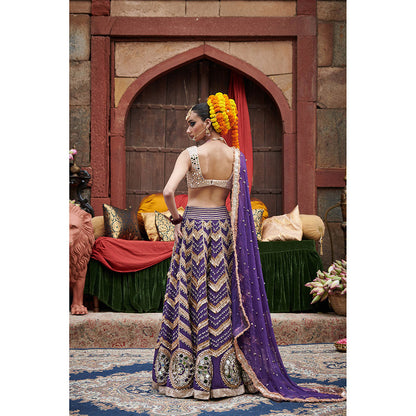 ITRH Ulfat Jamuni Lehenga with Blouse and Dupatta (Set of 3)