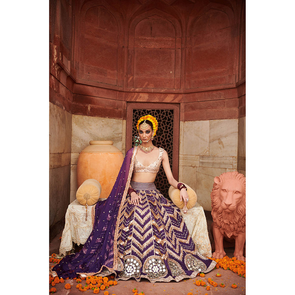 ITRH Ulfat Jamuni Lehenga with Blouse and Dupatta (Set of 3)