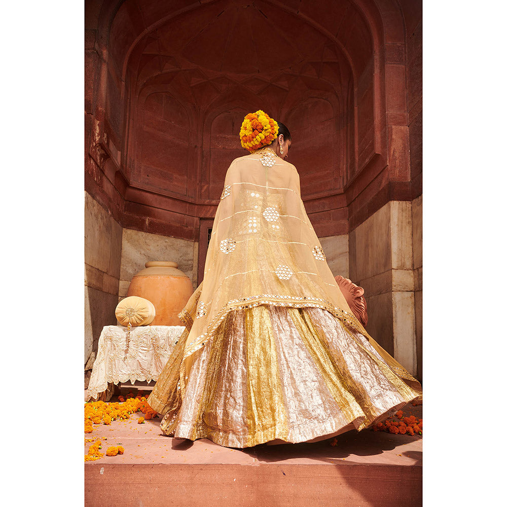 ITRH Chandi Sona Sheesh Lampi Lehenga with Blouse and Cape (Set of 3)