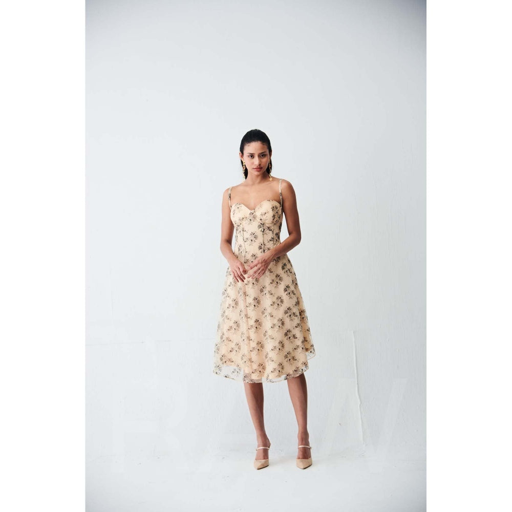 Ivory Rose Beige Lily Lace Midi Dress