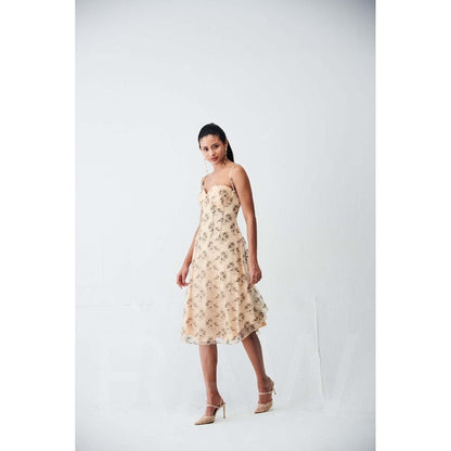 Ivory Rose Beige Lily Lace Midi Dress