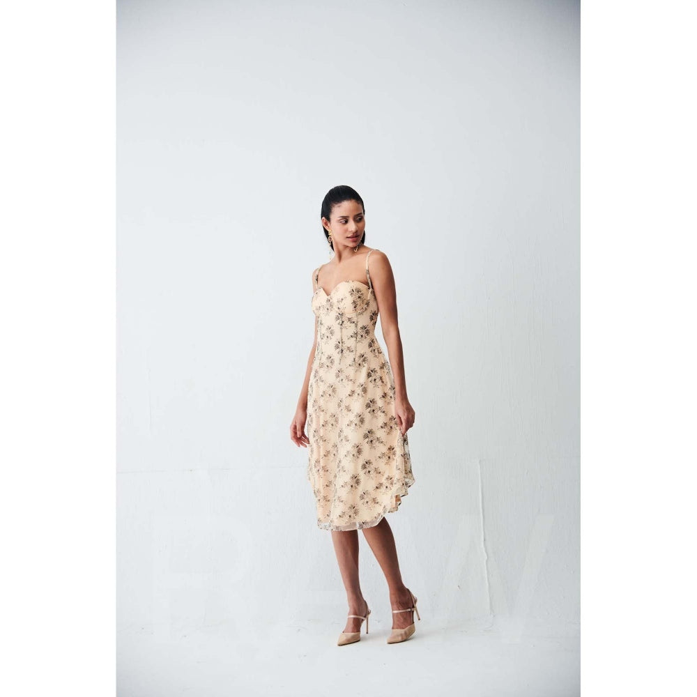 Ivory Rose Beige Lily Lace Midi Dress
