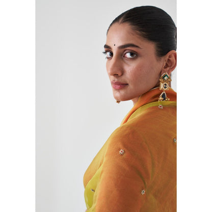 Janki India Lime Green Organza Embroidered with Petticoat and Without Blouse