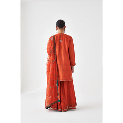 Janki India Rust Embroidered Organza Dupatta