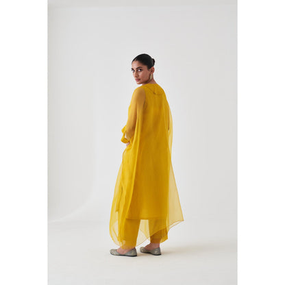 Janki India Yellow Organza Embroidered Kaftan with Slip and Pant (Set of 3)