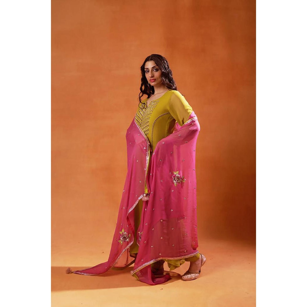 Jasashi Olive Green Embroidered Kurta with Salwar and Dupatta (Set of 3)