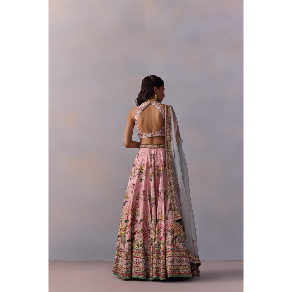 KALISTA Neisha Pink Embellished Floral Blouse with Lehenga and Dupatta (Set of 3)