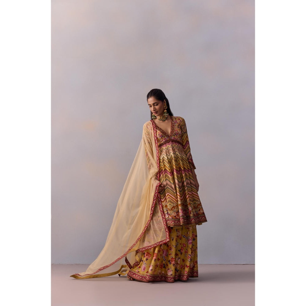 KALISTA Kushnaz Multicolour Floral Embellished Kurta with Sharara and Dupatta (Set of 3)