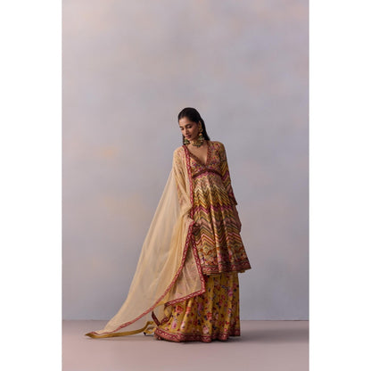 KALISTA Kushnaz Multicolour Floral Embellished Kurta with Sharara and Dupatta (Set of 3)