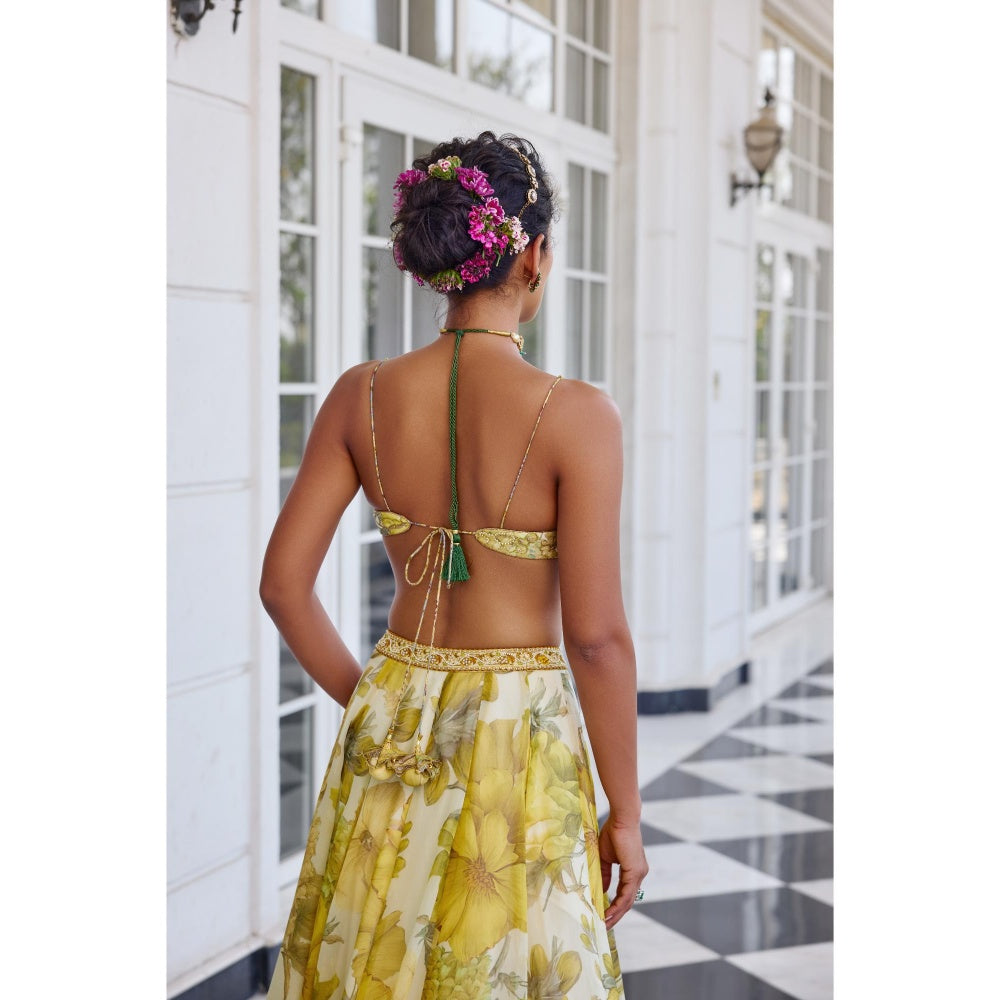 KALISTA Yellow Lehenga with Bustier and Cape
