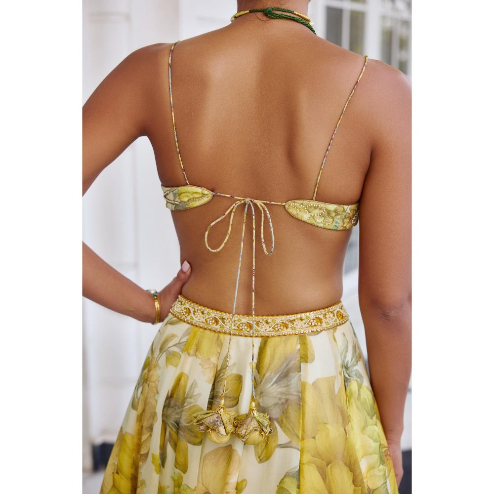 KALISTA Yellow Lehenga with Bustier and Cape
